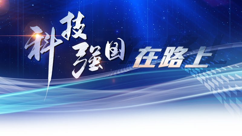 政务云服务：揭秘十大品牌排名背后的考量因素