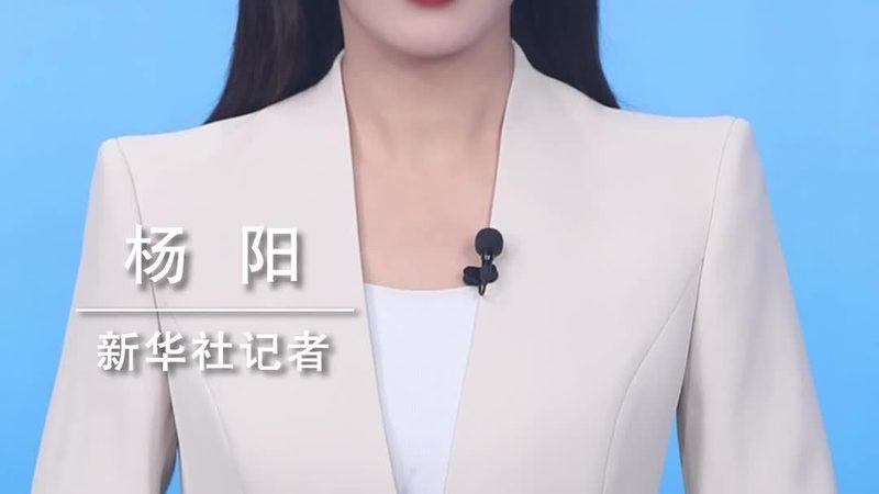 BI工具与Excel：数据处理的差异化选择